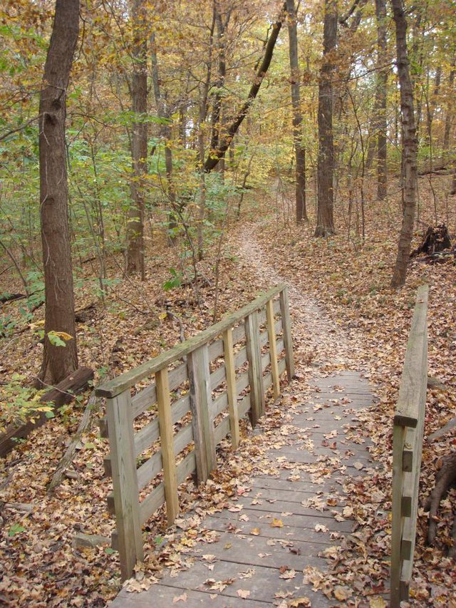 Maple Woods Natural Area KC Parent Magazine